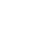 IN